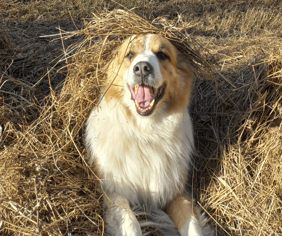Black-And-White-Modern-Football-Match-Facebook-Post-7
